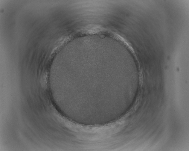 X0000076420018200610271719