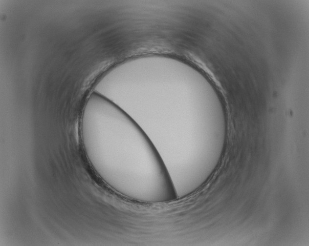 X0000076420019200610271719