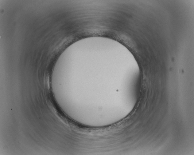 X0000076420021200610271719