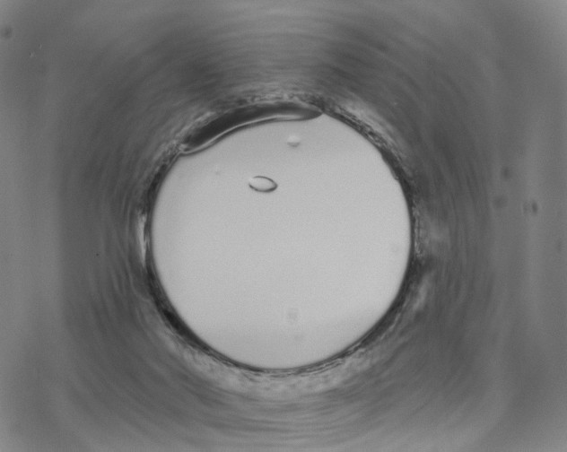 X0000076420022200610271719