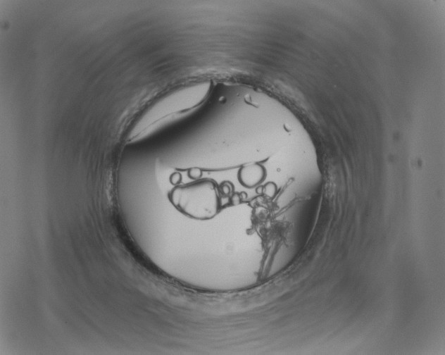 X0000076420023200610271719