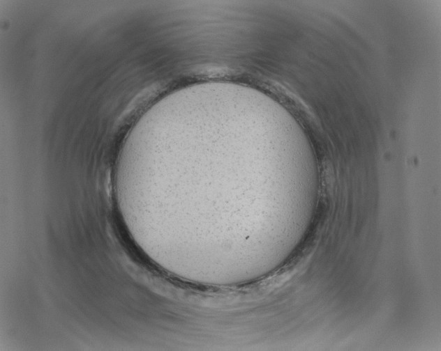 X0000076420024200610271719