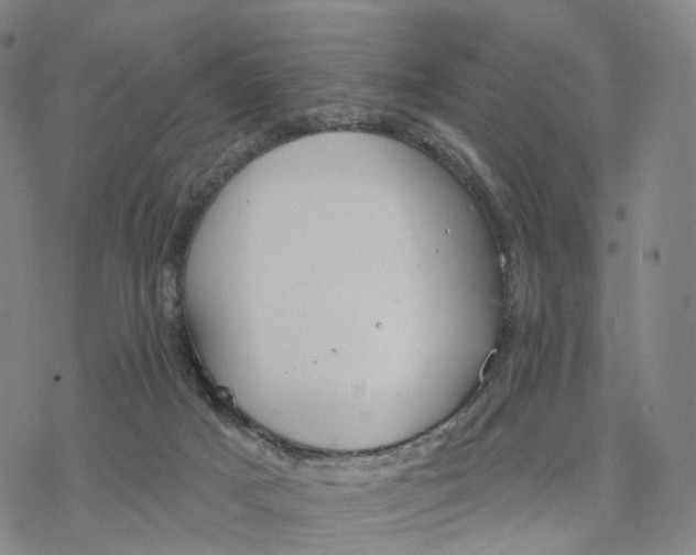 X0000076420025200610271719