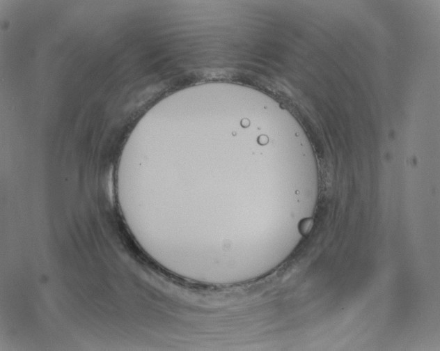 X0000076420028200610271719