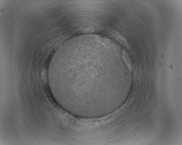 X0000076420029200610271719