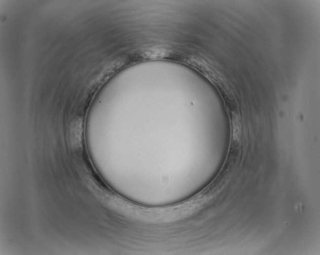 X0000076420030200610271719