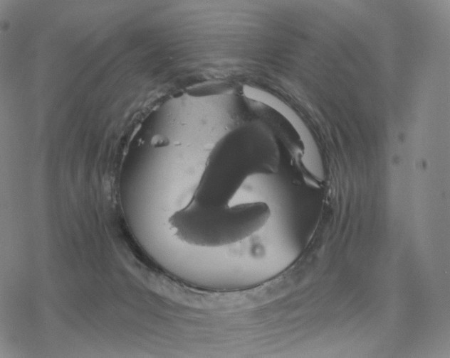 X0000076420031200610271719