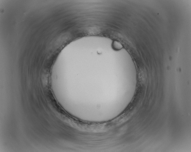 X0000076420032200610271719