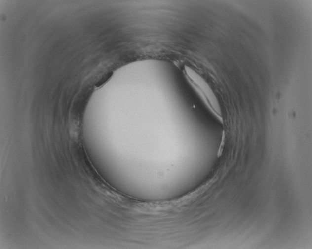 X0000076420033200610271719