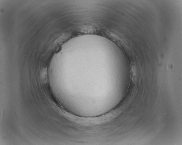 X0000076420034200610271719