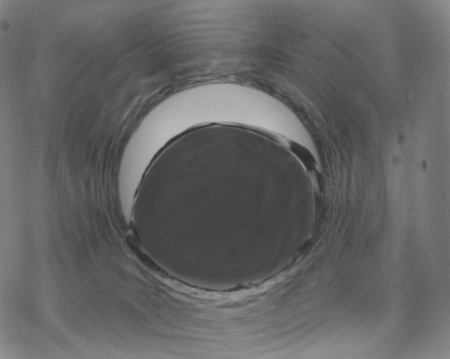 X0000076420035200610271719