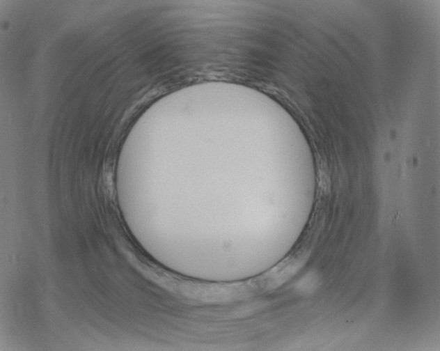 X0000076420036200610271719