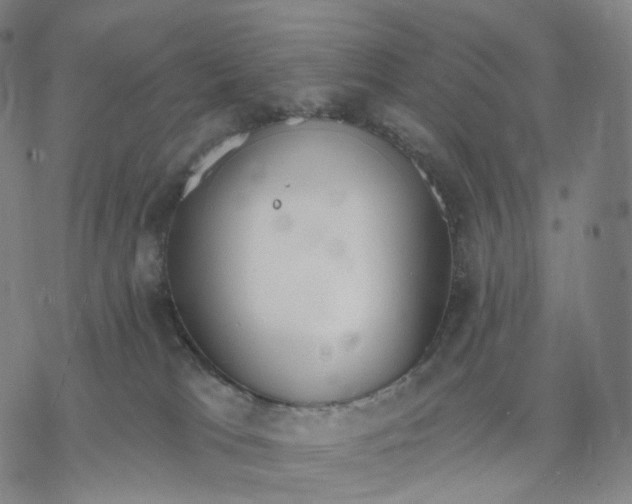 X0000076420037200610271719