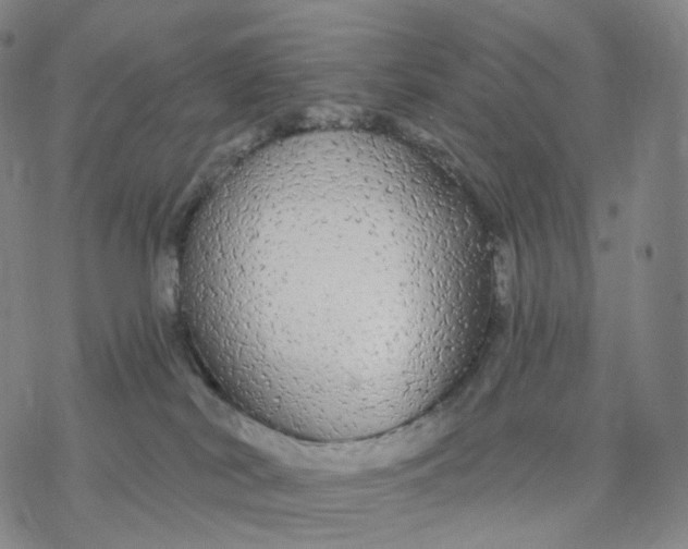 X0000076420038200610271719