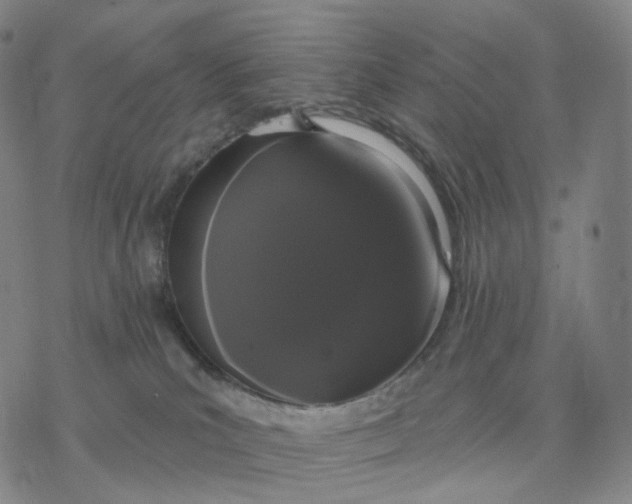 X0000076420039200610271719