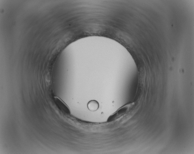 X0000076420040200610271719