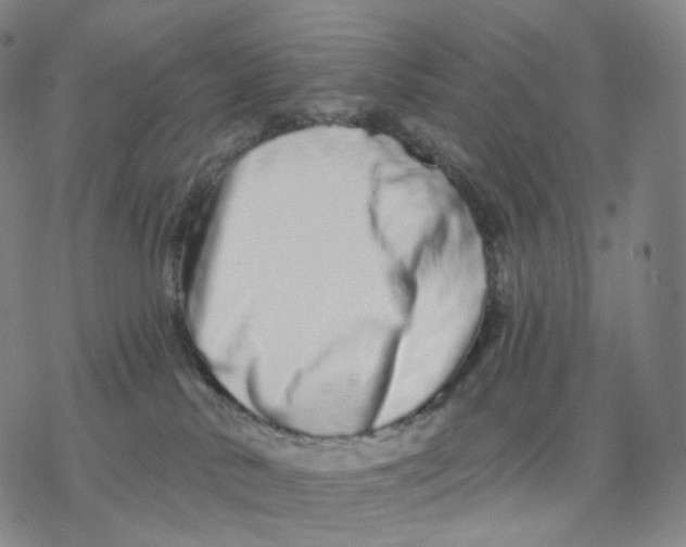 X0000076420042200610271719