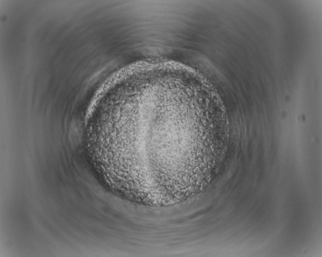 X0000076420043200610271719