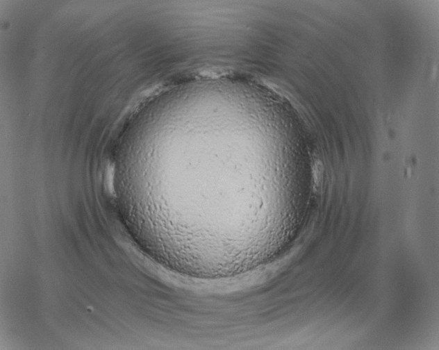 X0000076420046200610271719