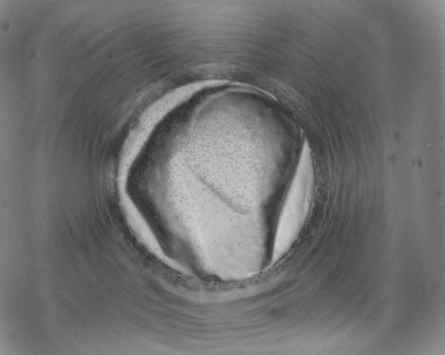 X0000076420047200610271719