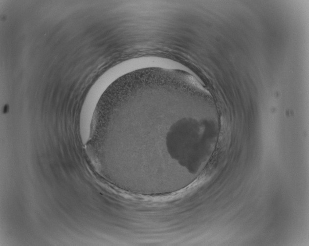 X0000076420048200610271719