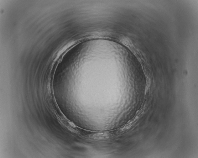 X0000076420050200610271718