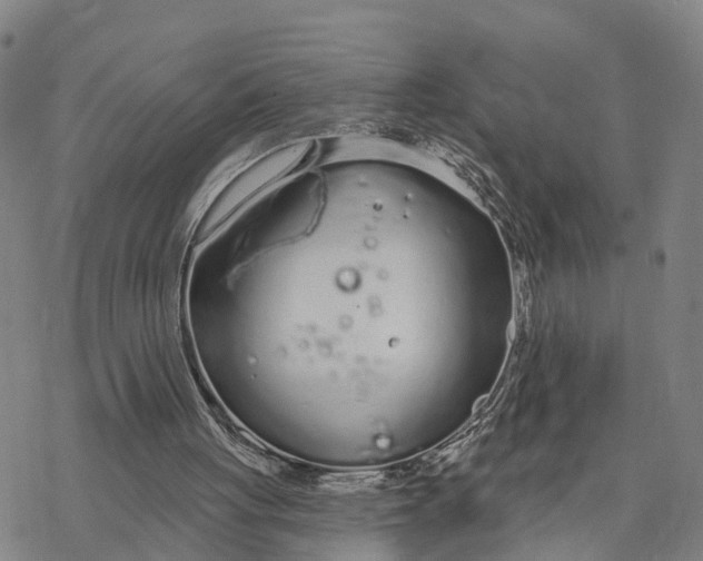 X0000076420051200610271718