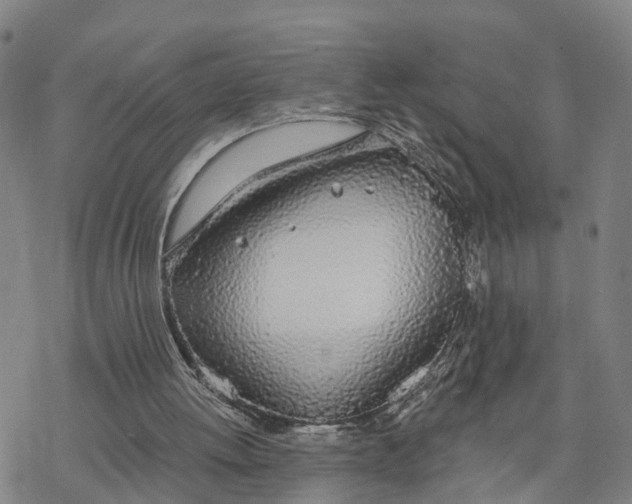 X0000076420052200610271718