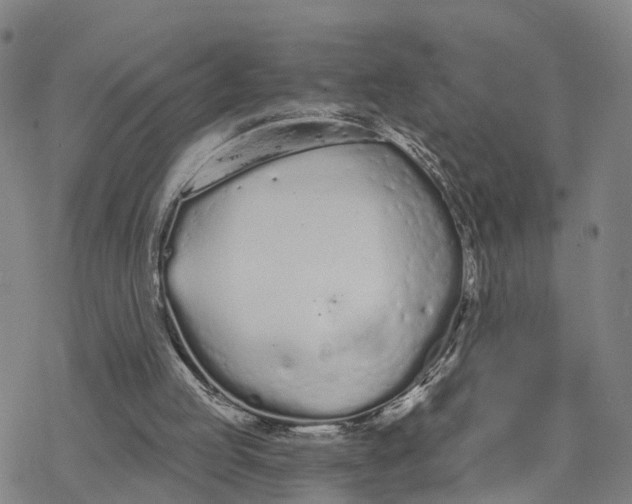 X0000076420053200610271718