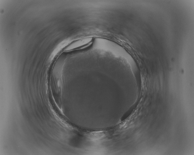 X0000076420054200610271718