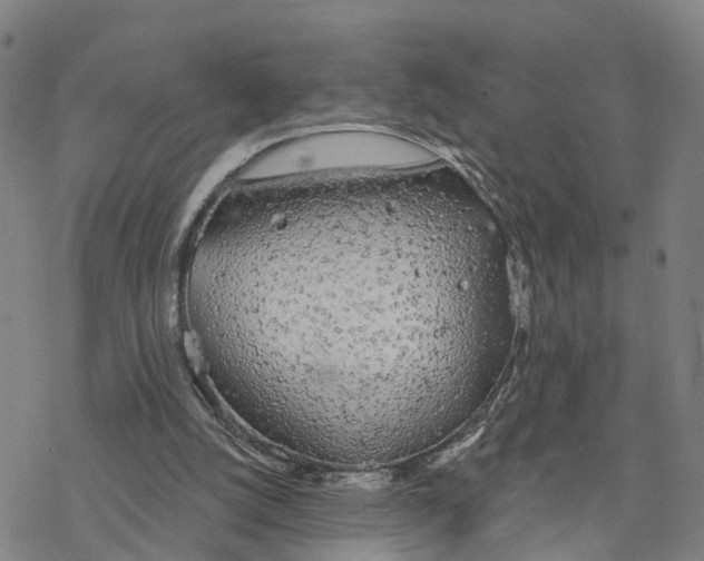 X0000076420056200610271718