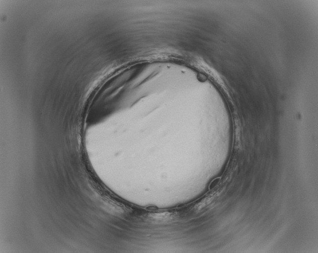 X0000076420059200610271718