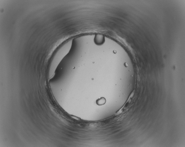 X0000076420060200610271718