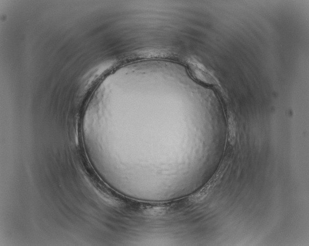 X0000076420062200610271718