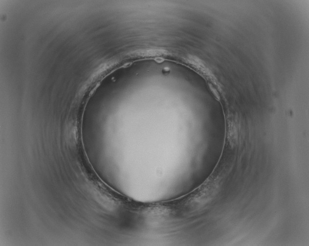 X0000076420063200610271718