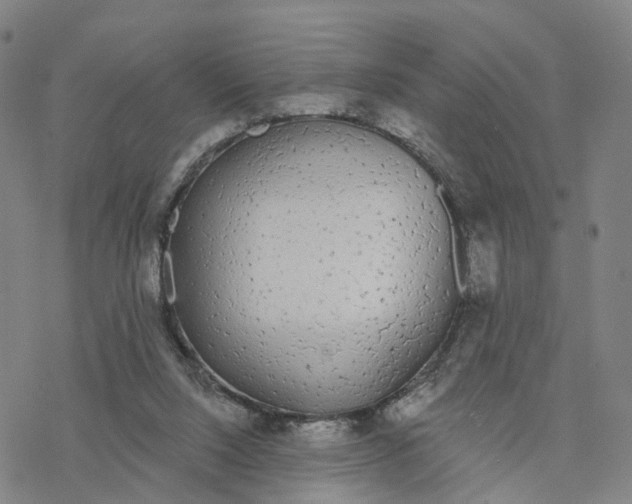 X0000076420064200610271718