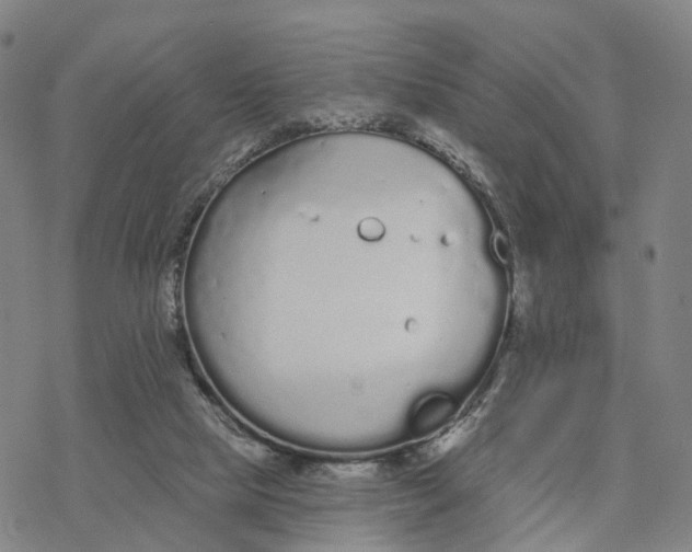 X0000076420065200610271718