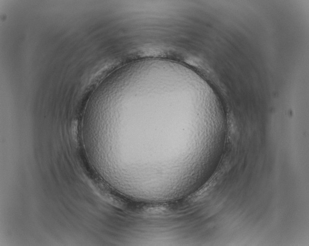 X0000076420066200610271718