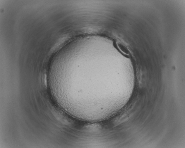 X0000076420067200610271718