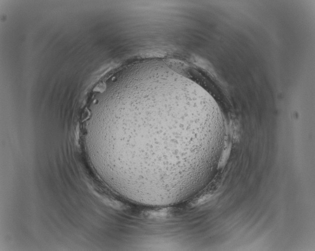 X0000076420068200610271718