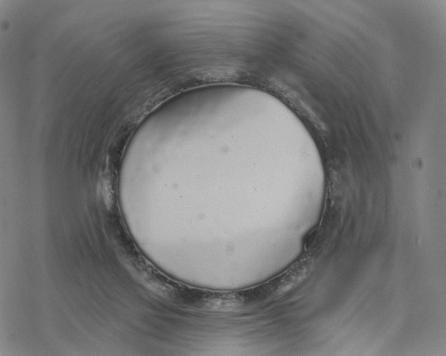 X0000076420069200610271718