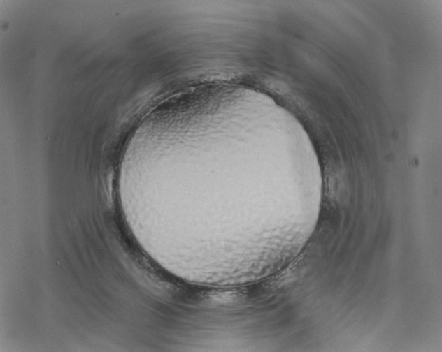 X0000076420070200610271718