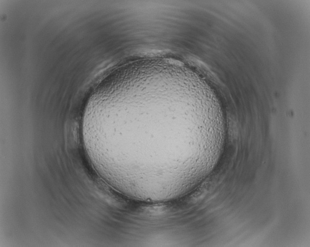 X0000076420071200610271718