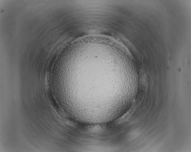 X0000076420074200610271719