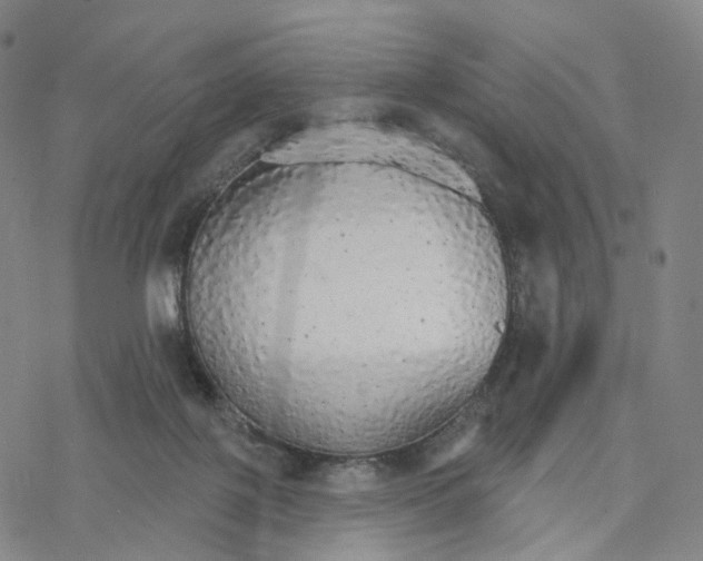 X0000076420075200610271719