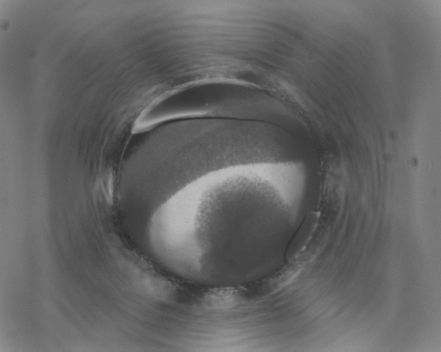 X0000076420076200610271719