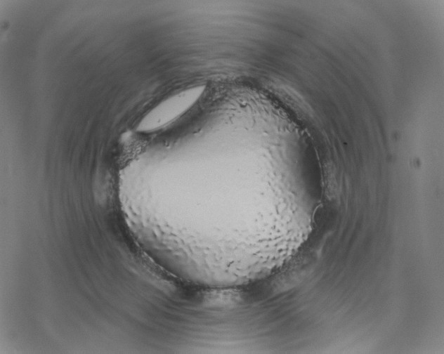 X0000076420077200610271719