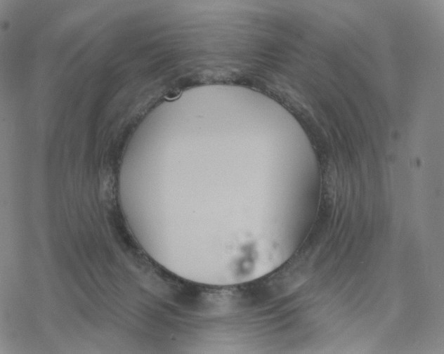 X0000076420079200610271719