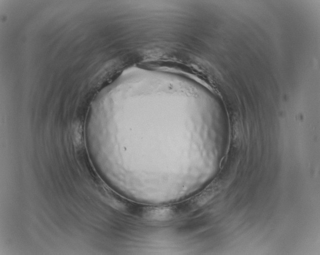 X0000076420081200610271719