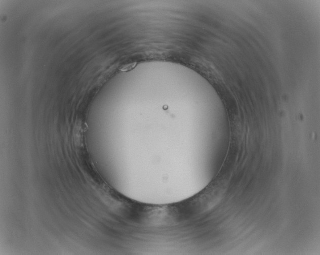 X0000076420083200610271719